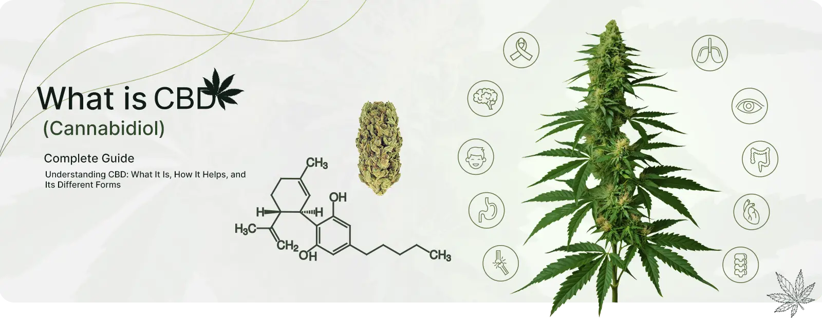 cannabis-banner