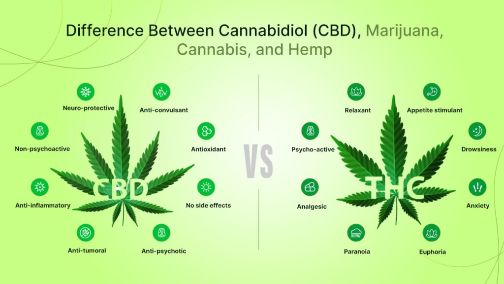Marijuana, Cannabis, and Hemp