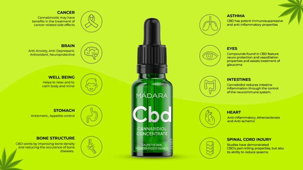 CBD Side Effects