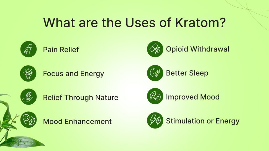 Uses of Kratom