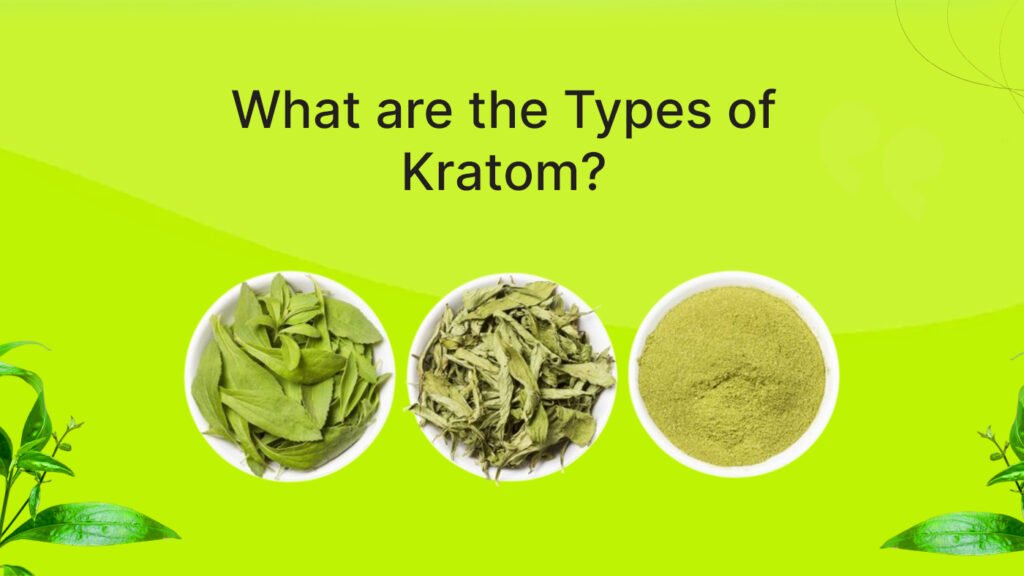 Types of Kratom