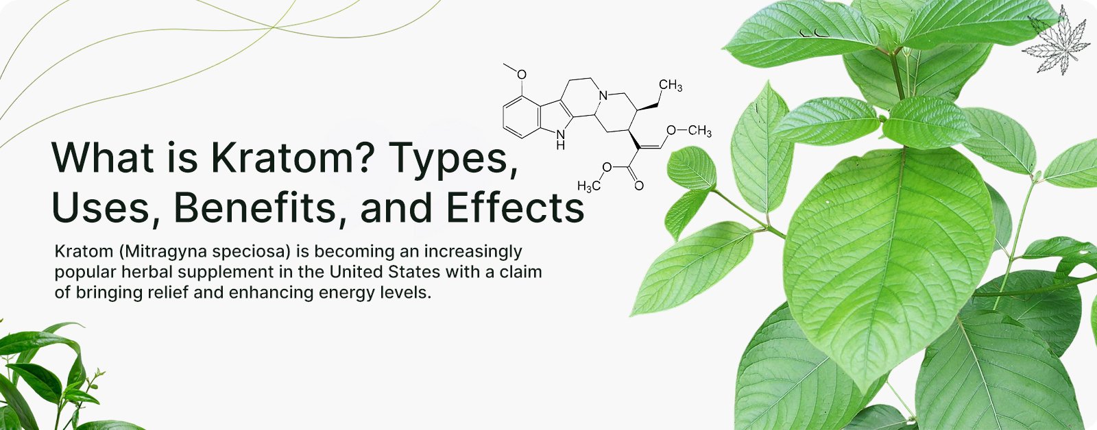 What is kratom