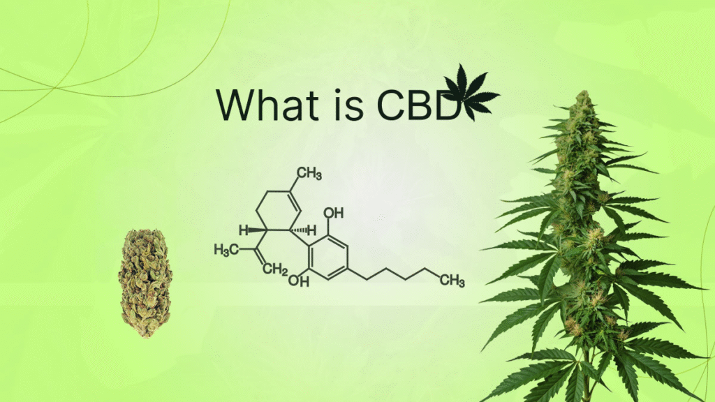 what is CBD