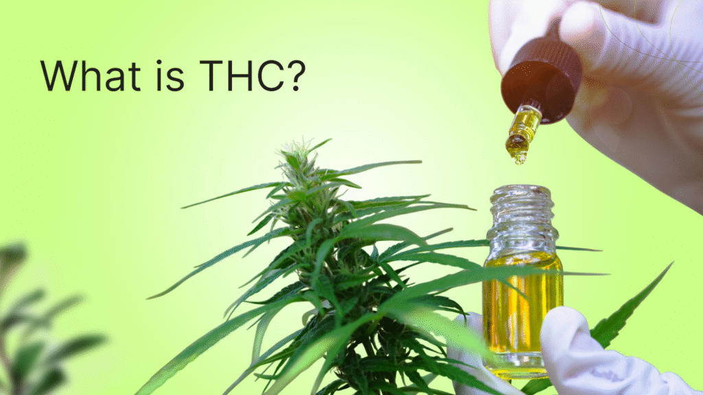 what is THC