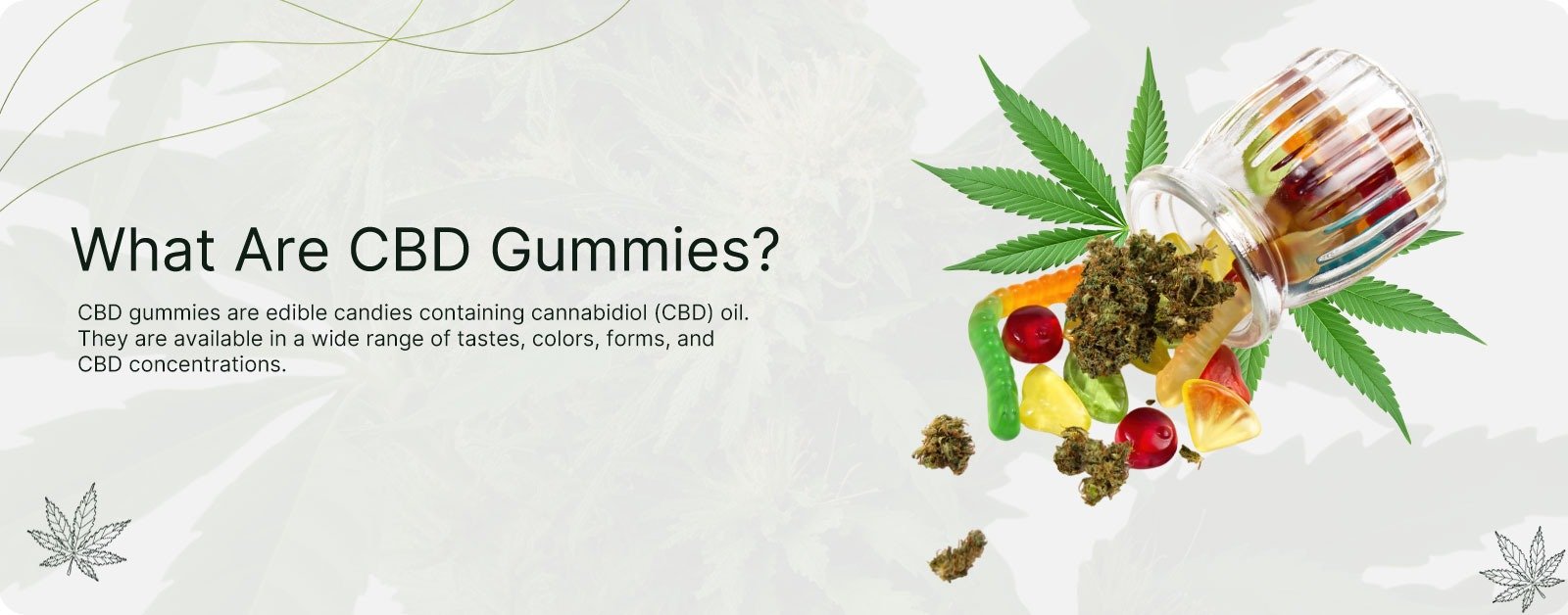 CBD gummies