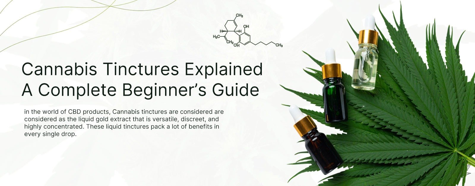 Cannabis Tinctures Explained