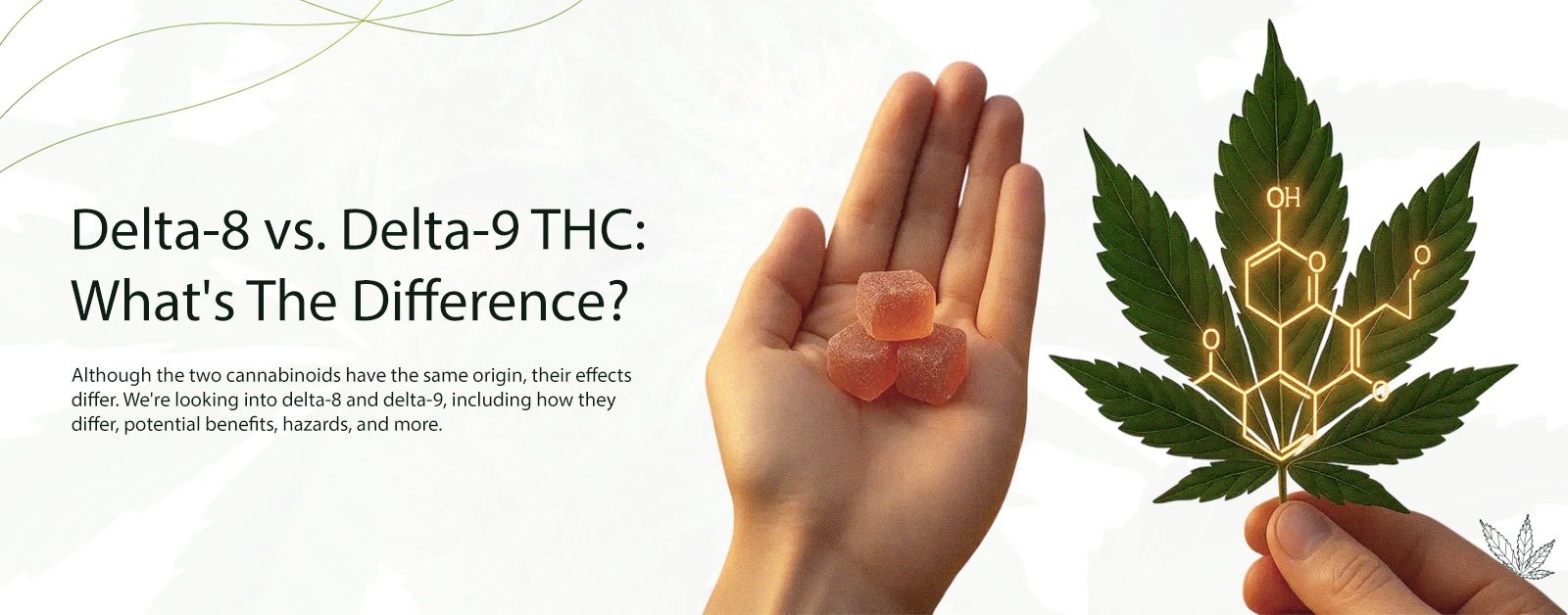Delta-8 vs. Delta-9