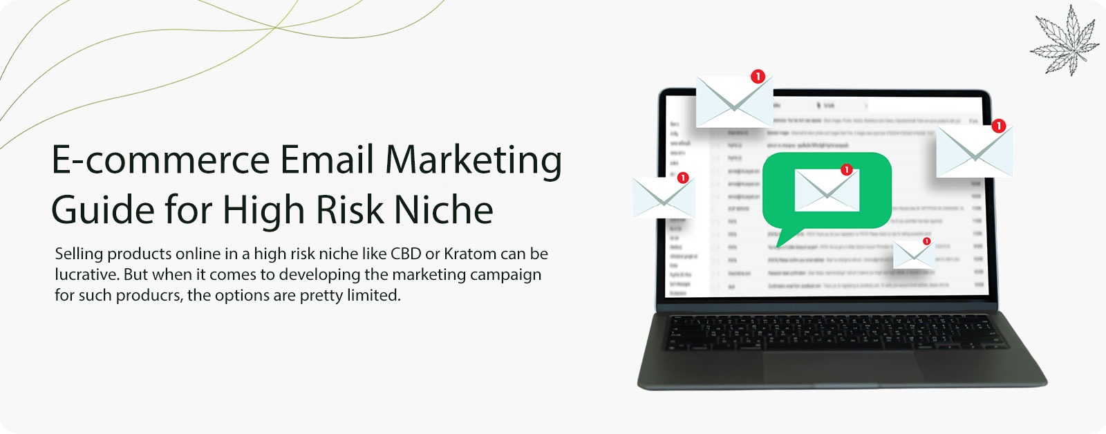 E-commerce Email Marketing Guide for High Risk Niche