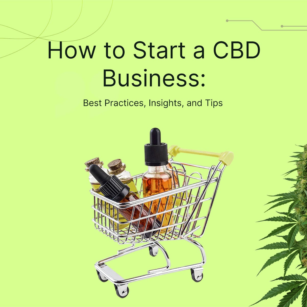 How to Start a CBD Business